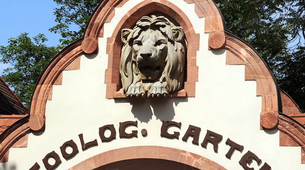 Following a suspected case of bird flu, Leipzig Zoo has closed some areas. (Symbolic image) / Photo: Waltraud Grubitzsch/dpa