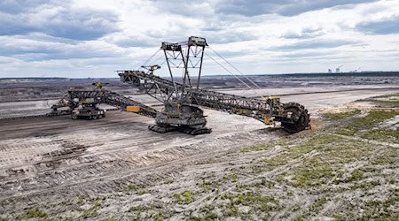 Leag is planning to excavate a private piece of forest for the expansion of the Nochten open-cast mine. (Archive image) / Photo: Robert Michael/dpa