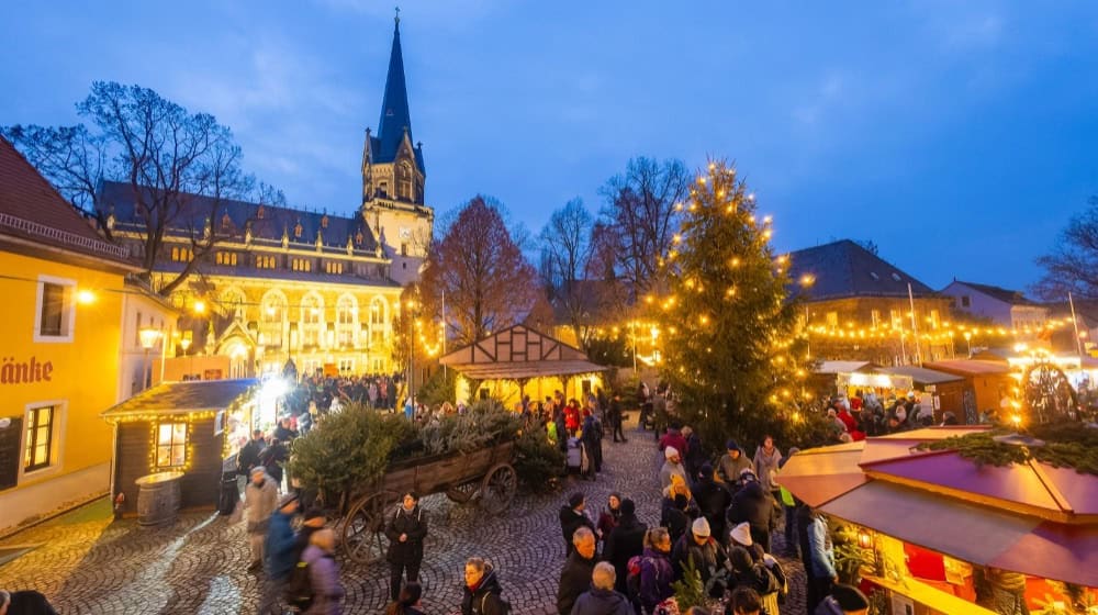 Blick auf den Radebeuler Weihnachtsmarkt. Foto: Sylvio Dittrich/Stadt Radebeul