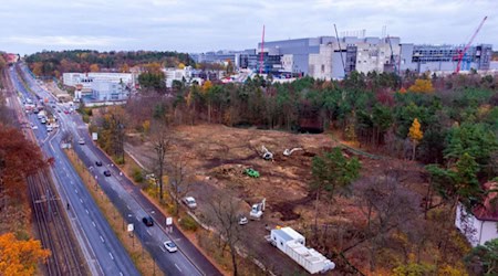 Auf der Freifläche wird das neue Regen-Versickerungsbecken gebaut. Direkt vor dem Wald sind die zwei Teiche des alten Beckens, das nach 30 Jahren nicht mehr funktioniert. Im Hintergrund ist gut zu sehen, wie weit der Neubau der Smart Power Fab von Infineon schon gekommen ist. Foto: Peter Hilbert