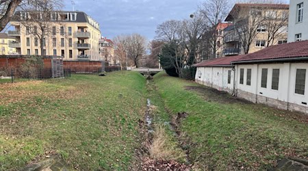 Dieser 95 Meter lange Abschnitt des Blasewitz-Grunaer-Landgrabens soll bis zum Sommer renaturiert werden. Foto: CdH