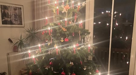 Symbolbild Weihnachtsbaum / Foto: CdH