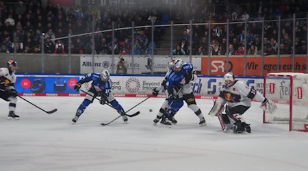 Dresden gegen München. Eine klare Sache für die Gäste. Foto: Henry Müller