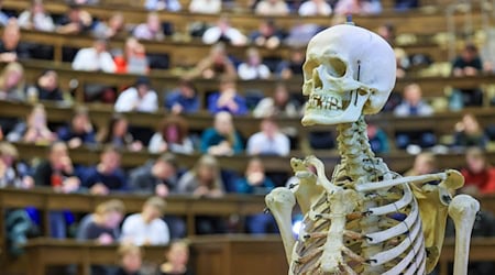 Medizin studieren ohne Numerus Clausus ist in Sachsen möglich. (Symbolbild) / Foto: Jan Woitas/dpa