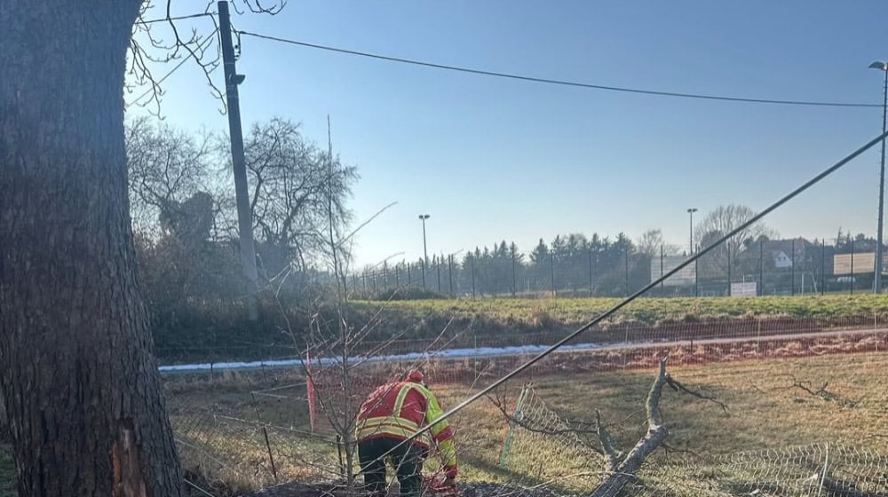 Feuerwehr beseitigt einen Ast von der Telefonleitung. Foto: Feuerwehr Reichenberg
