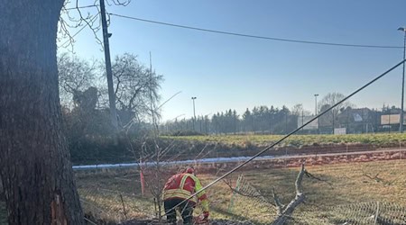 Feuerwehr beseitigt einen Ast von der Telefonleitung. Foto: Feuerwehr Reichenberg