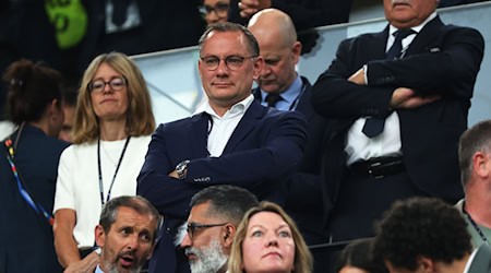 Der AfD-Chef wollte am Wochenende ins Stadion. (Archivbild) / Foto: Friso Gentsch/dpa