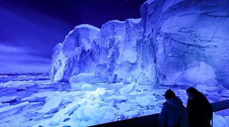 Крижаний і захоплюючий світ Антарктиди показаний у вигляді 360-градусного зображення / Фото: Jan Woitas/dpa