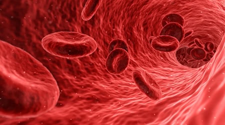 Researchers at the Leibniz Institute of Polymer Research in Dresden are investigating how nanoparticles react with blood.