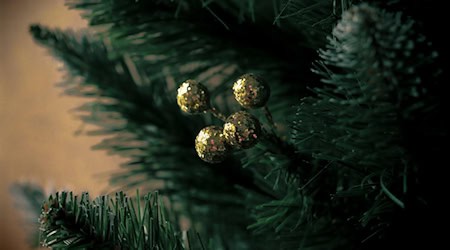 Symbolbild Weihnachtsbaum / pixabay _Avelly_