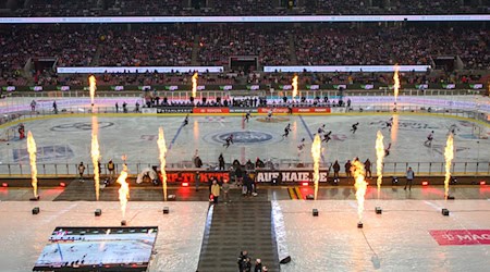 Three years ago, the Winter Game took place in Cologne, this time it will be played in Dresden. (Archive image) / Photo: Christopher Neundorf/Kirchner-Media/dpa