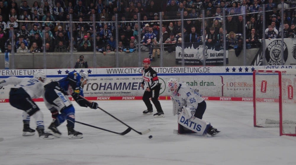 Am 18.Januar empfingen die Dresdner Eislöwen die Adler Mannheim. Foto: Henry Müller