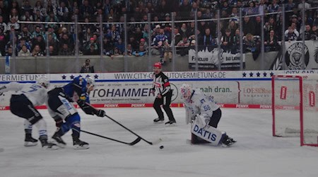 Am 18.Januar empfingen die Dresdner Eislöwen die Adler Mannheim. Foto: Henry Müller