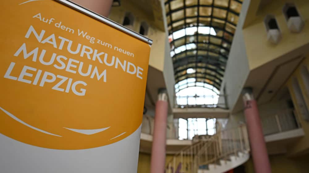 The new Leipzig Natural History Museum is to be built in the former "Bowlingtreff" on Wilhelm-Leuschner-Platz in Leipzig. / Photo: David Hammersen/dpa