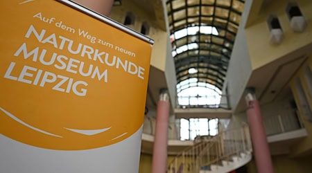 Im ehemaligen «Bowlingtreff» am Leipziger Wilhelm-Leuschner-Platz soll das neue Leipziger Naturkundemuseum entstehen. / Foto: David Hammersen/dpa