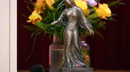 Der Friedenspreis Dresden wird seit 2010 verliehen. (Archivbild) / Foto: Robert Michael/dpa