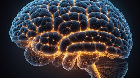 Researchers in Leipzig have developed a method to identify brain areas that change with age.