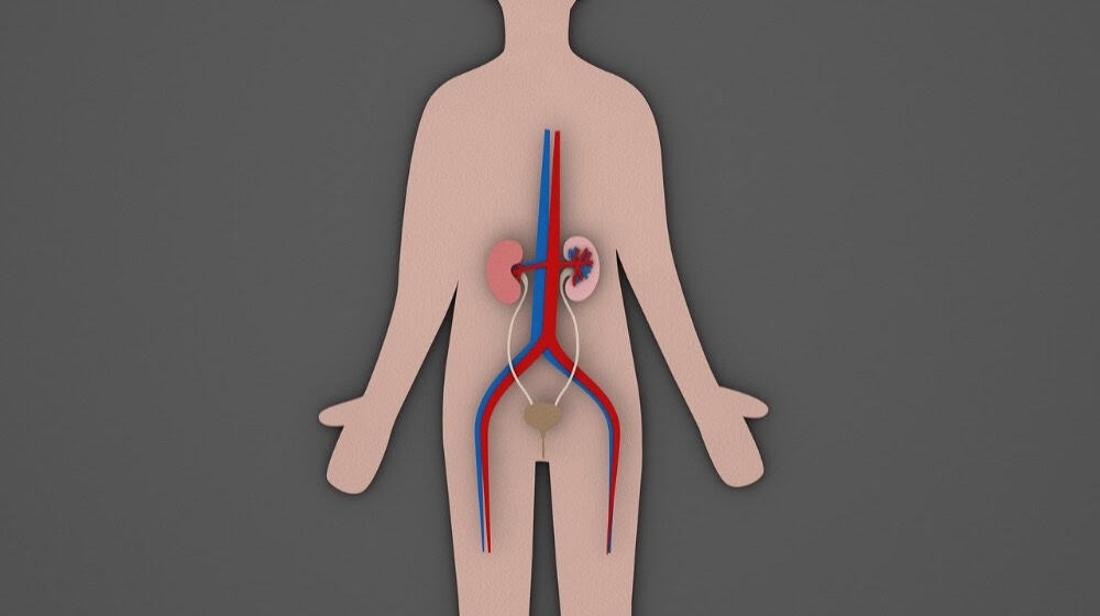 Symbolbild Urologie / pixabay johnbloor