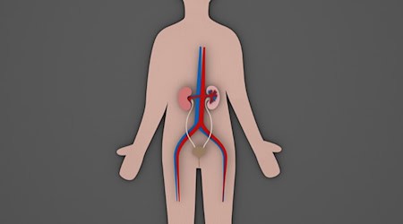 Symbolbild Urologie / pixabay johnbloor