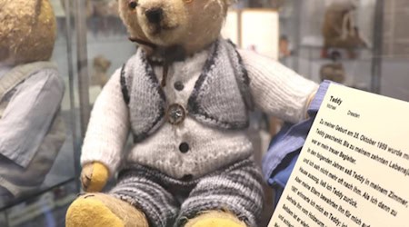 Am Sonntag findet im Museum Alte Lateinschule Großenhain ein Teddytreffen statt. Foto: Städtische Museen Großenhain