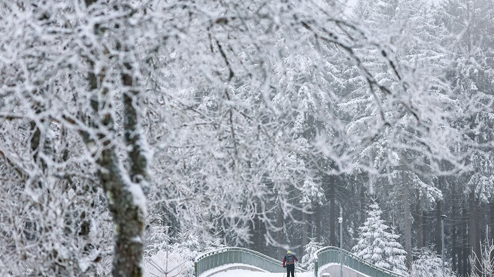 Conditions on the Kammloipe are mostly good to very good for cross-country skiers. (Archive image) / Photo: Jan Woitas/dpa