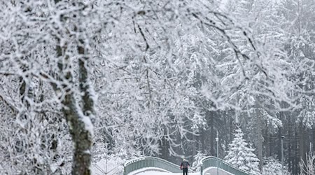 Conditions on the Kammloipe are mostly good to very good for cross-country skiers. (Archive image) / Photo: Jan Woitas/dpa