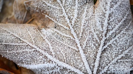 Trotz Schneefall bleibt der Winter in Mitteldeutschland bislang zu trocken. (Symbolbild) / Foto: Hendrik Schmidt/dpa
