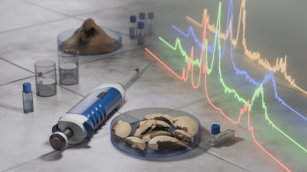 Brazil nuts not on the snack plate, but in the laboratory. Are they really healthy? © HZDR/B. Schröder