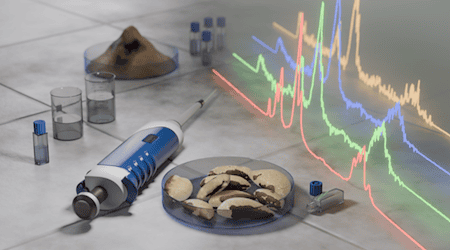 Brazil nuts contain healthy selenium, but also radioactive substances