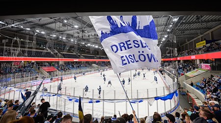 Die Dresdner Eislöwen haben einen neuen Sportdirektor. (Archivbild) / Foto: Robert Michael/dpa