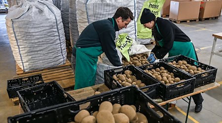 1,000 kilos was the minimum purchase quantity / Photo: Jens Kalaene/dpa