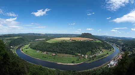 Der BUND untersucht in einem Projekt trockene Lebensräume im sächsischen Elbtal (Archivbild).  / Foto: picture alliance / Arno Burgi/dpa-Zentralbild/dpa