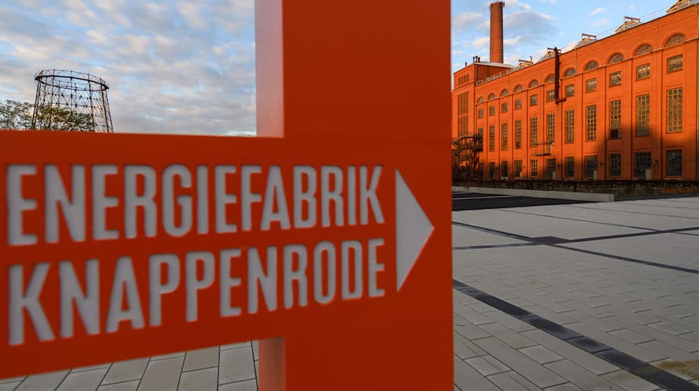 Two special exhibitions are planned this year / Photo: Robert Michael/dpa-Zentralbild/dpa