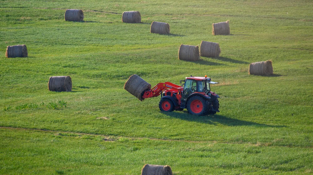 East German agriculture ministers warn of a cut in EU funding from 2028 (archive photo). / Photo: Klaus-Dietmar Gabbert/dpa