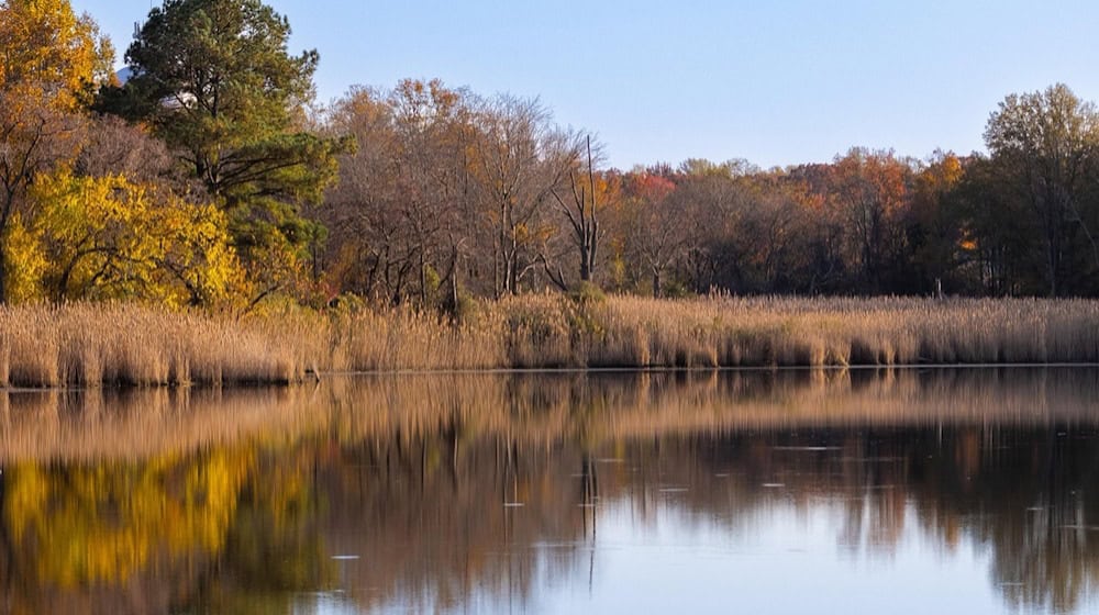 Oberflächengewässer werden vom Umweltamt regelmäßig auf Belastungen mit sogenannten Ewigkeitschemikalien überprüft. Symbolfoto: pixabay Trek_Jason