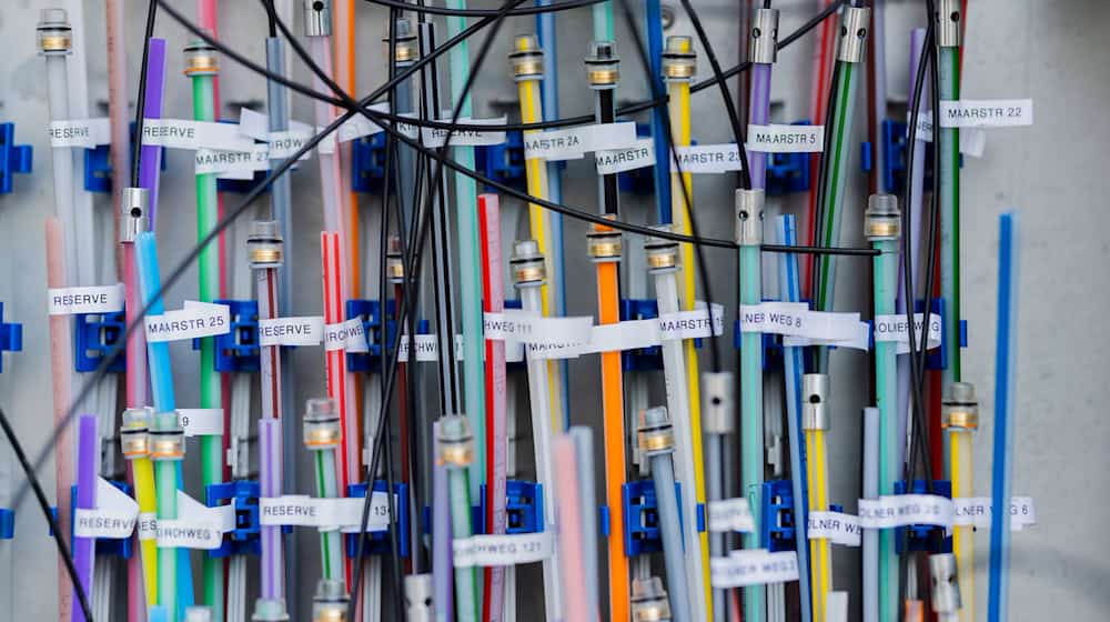 The money is being used to support the expansion in three districts. (Symbolic image) / Photo: Rolf Vennenbernd/dpa