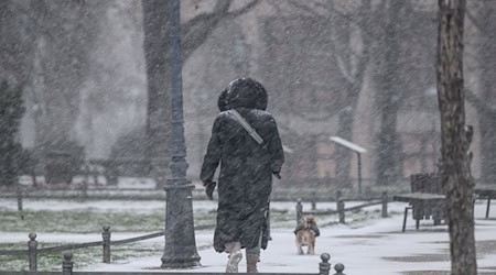 Schneefall und Glätte erhöhen die Unfallgefahr in Parks und Schlossanlagen in Sachsen. / Foto: Robert Michael/dpa