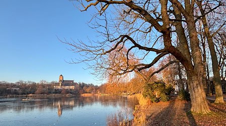 In Sachsen werden wieder eisige Temperaturen erwartet. (Archivfoto)  / Foto: Hendrik Schmidt/dpa