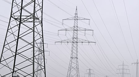 There was a power cut in parts of Görlitz for about an hour. (Symbolic image) / Photo: Bernd Weißbrod/dpa