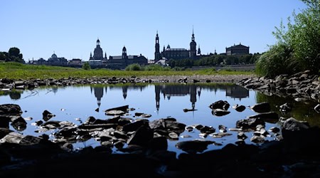 Das Jahr 2025 hat sich in Sachsen erneut als zu trocken erwiesen. (Archivbild) / Foto: Robert Michael/dpa