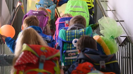 The Greens demand a school place guarantee for all children in Saxony. (Symbolic image) / Photo: Robert Michael/dpa-Zentralbild/dpa