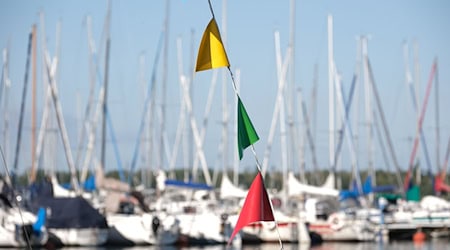 The eco-lion has lodged an objection to motorboats on the Cossi. (Archive image) / Photo: Sebastian Willnow/dpa