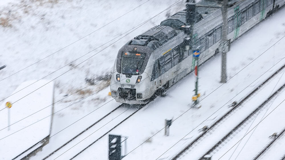 Sturmtief «Elli» sorgt für Beeinträchtigungen im Bahnverkehr. / Foto: Jan Woitas/dpa