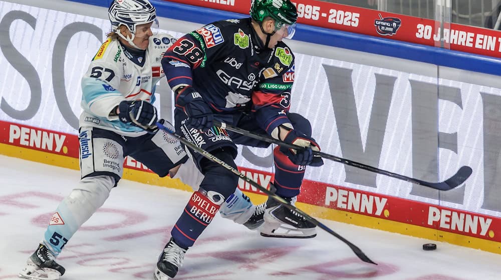 Dresden's Emil Johansson (l), who fights for the puck against Berlin's Yannick Veilleux (r), meets his opponent again in the DEL Winter Game on Saturday. (archive picture) / Photo: Andreas Gora/dpa