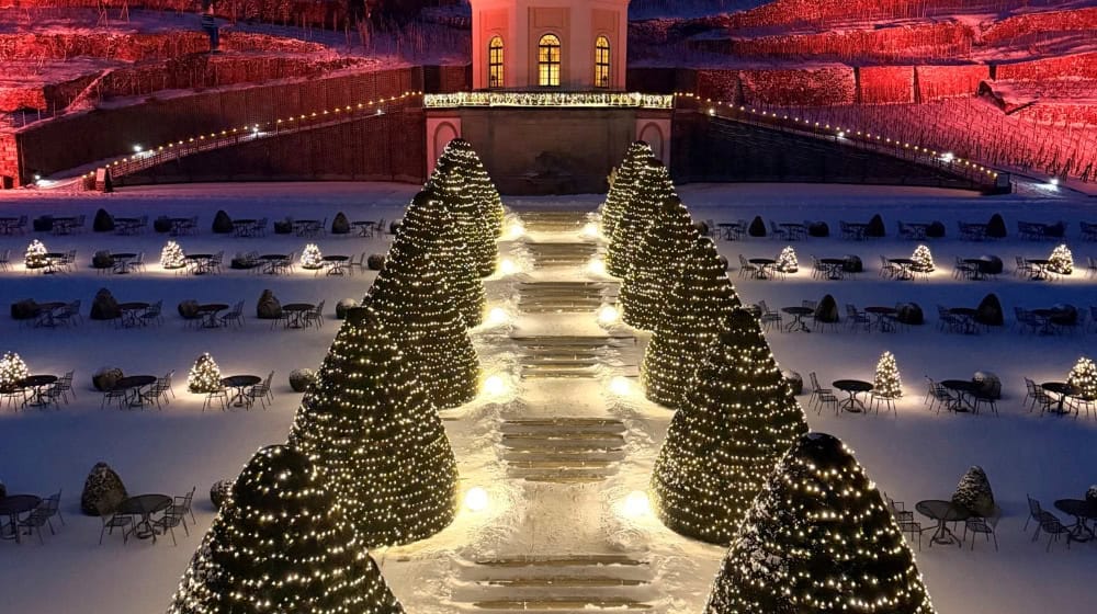 Schöne Lichter am Schloss Wackerbarth. Foto: Arvid Müller