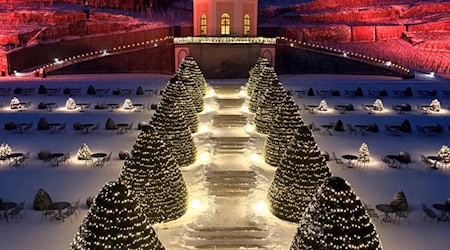 Schöne Lichter am Schloss Wackerbarth. Foto: Arvid Müller
