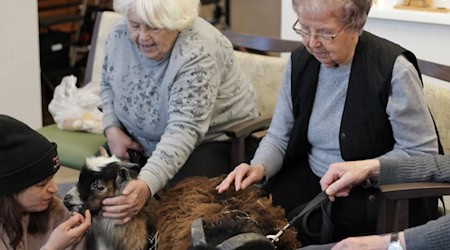 Tierischer besuch in der Tagespflege. Foto: Johanniter-Unfall-Hilfe