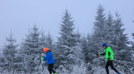 Reichlich Schnee in den vergangenen Tagen hat für gute Bedingungen auf der Kammloipe gesorgt. / Foto: Jan Woitas/dpa