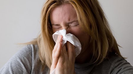 Symbolic image flu / pixabay Mojpe