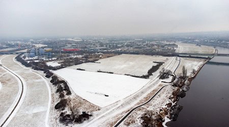 Noch ungeschützt ist die Übigauer Insel zwischen der Elbe und der Flutrinne. Noch im Frühjahr soll der Bau des Flutschutzes für das Kaditzer Klärwerk entlang der Elbe beginnen. Fotos: Peter Hilbert